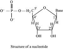 NCERT Solutions: Biomolecules Notes | Study Chemistry Class 12 - NEET